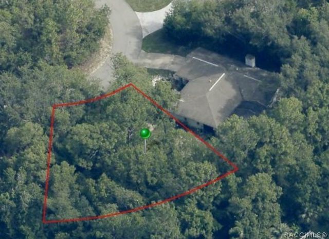 11 DAHOON Court S, Homosassa, FL 34446
