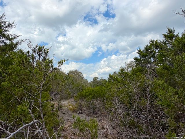 1447 Carson, Canyon Lake, TX 78133