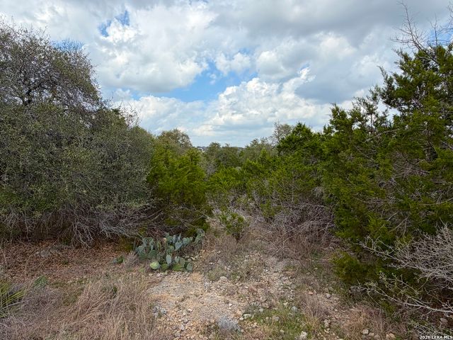 1447 Carson, Canyon Lake, TX 78133