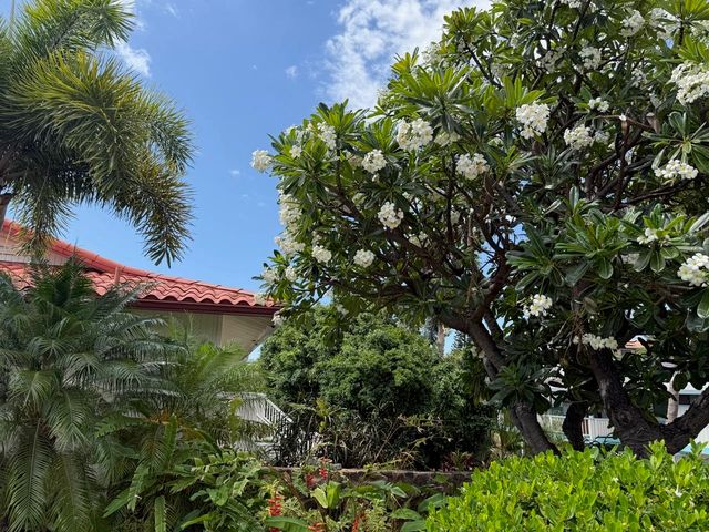 235 Keonekai Rd, Kihei, HI 96753