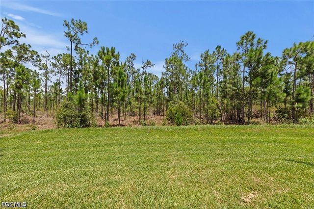 20615 Plumwood LOOP, North Fort Myers, FL 33917