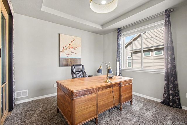17297 Leisure Lake Drive, Monument, CO 80132
