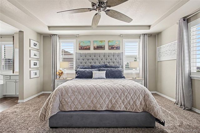 17297 Leisure Lake Drive, Monument, CO 80132