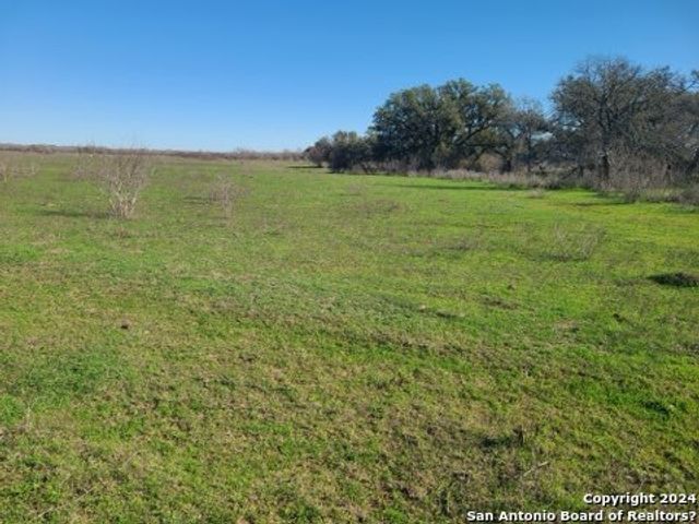 TBD TRACT 2 ST HWY 119, Stockdale, TX 78160