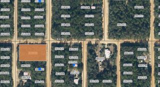 TBD THERESA AVENUE, Interlachen, FL 32148