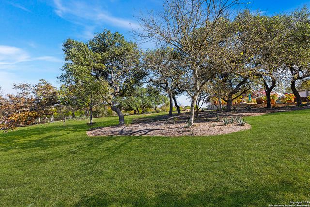 165 Painted Sky, Comfort, TX 78013