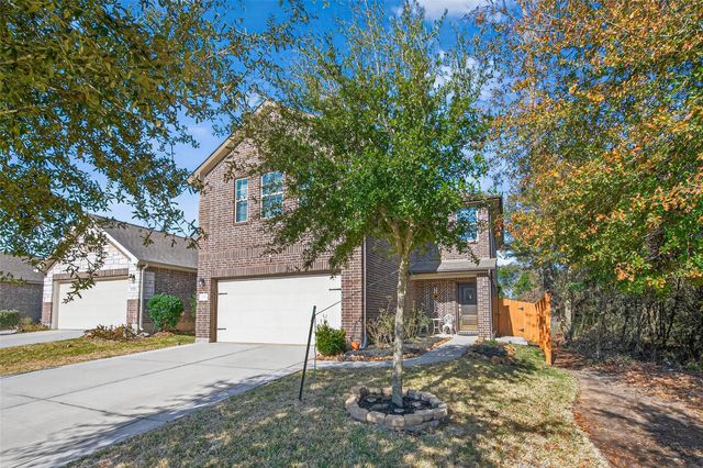 23704 Wood Green Terrace Drive, New Caney, TX 77357