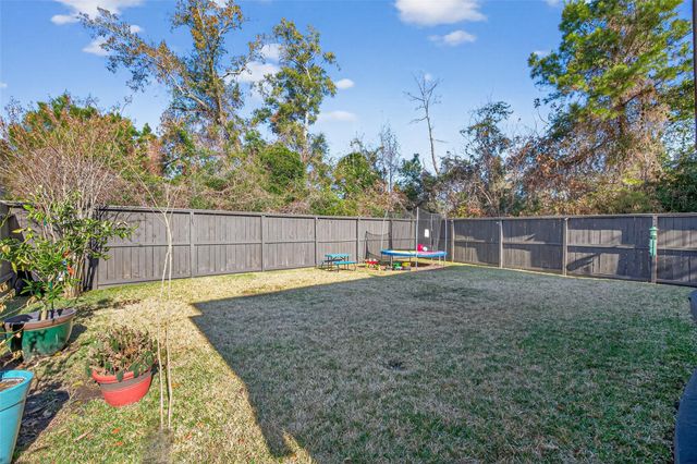 23704 Wood Green Terrace Drive, New Caney, TX 77357