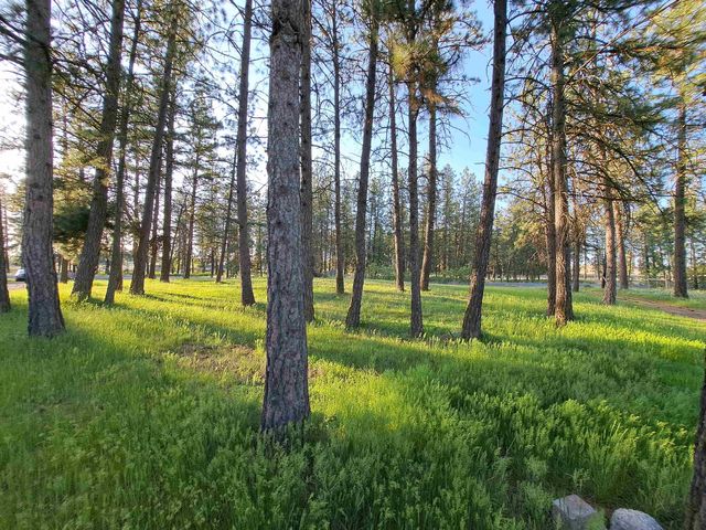14313 W SR 904 Hwy, Cheney, WA 99004