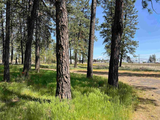14313 W SR 904 Hwy, Cheney, WA 99004