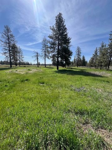 14313 W SR 904 Hwy, Cheney, WA 99004