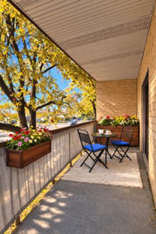 7730 W Dempster Street 209, Morton Grove, IL 60053