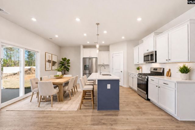 3041 Hanging Valley Road, Blythewood, SC 29016