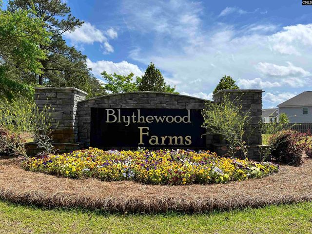 3041 Hanging Valley Road, Blythewood, SC 29016