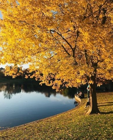 15 River 507, Boston, MA 02108