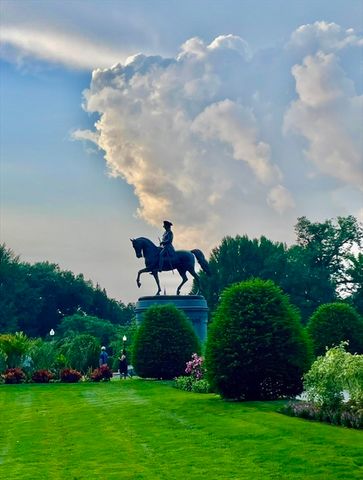 15 River 507, Boston, MA 02108