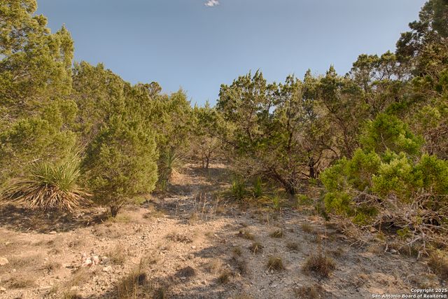 354 Ledgeview Drive, Canyon Lake, TX 78133
