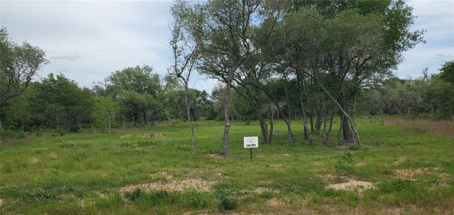 TBD Specklebelly Lane Lot 251, Columbus, TX 78934