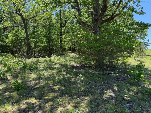 33486 7 Highway, Edwards, MO 65326