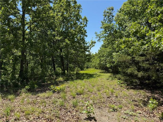 33486 7 Highway, Edwards, MO 65326