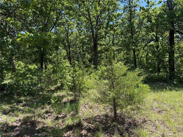 33486 7 Highway, Edwards, MO 65326
