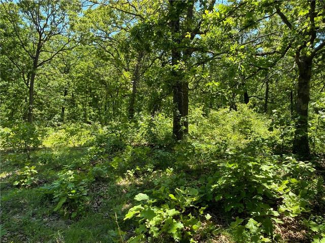 33486 7 Highway, Edwards, MO 65326