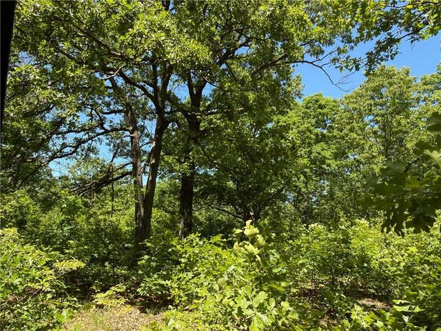 33486 7 Highway, Edwards, MO 65326