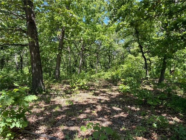 33486 7 Highway, Edwards, MO 65326