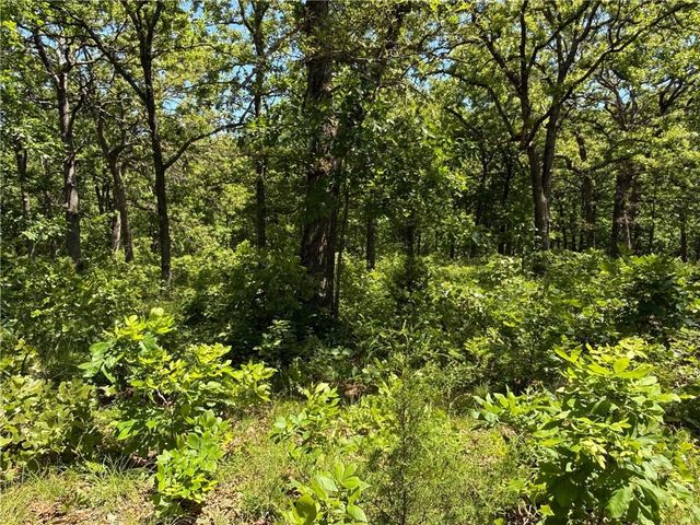 33486 7 Highway, Edwards, MO 65326