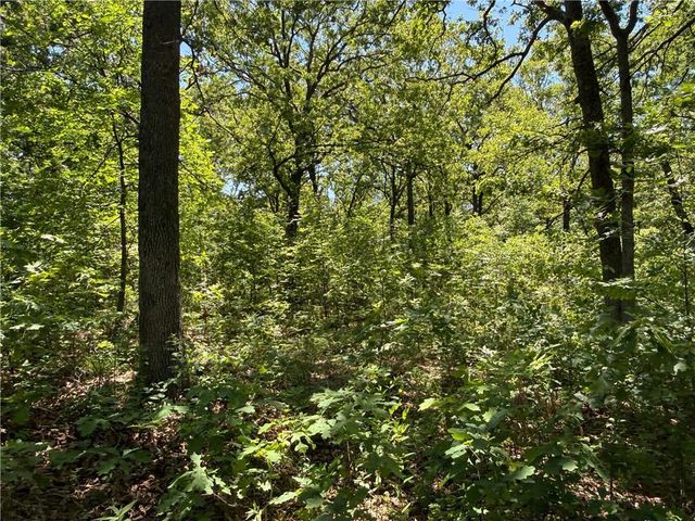 33486 7 Highway, Edwards, MO 65326
