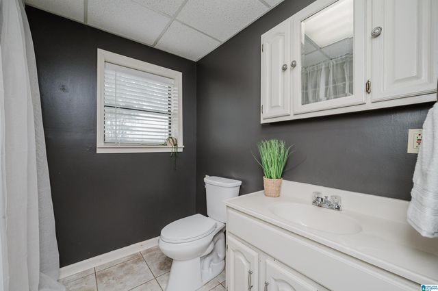 372 BRIDGEVIEW DRIVE, Arley, AL 35541
