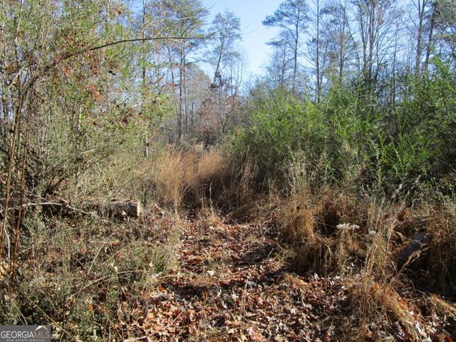 0 Stonehedge Drive, Cleveland, GA 30528