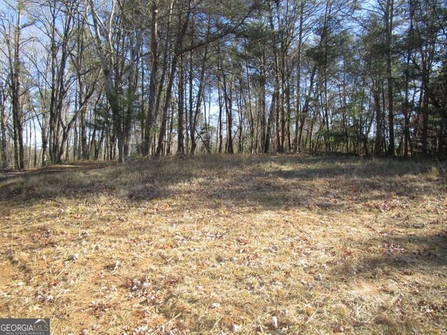 0 Stonehedge Drive, Cleveland, GA 30528