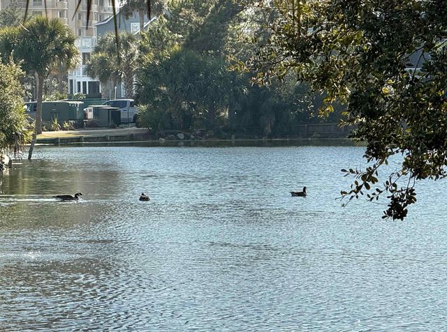 410 Melrose Pl Apt 206, Myrtle Beach, SC 29572