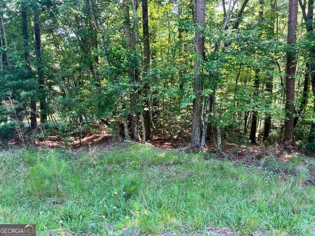 0 Alpine 3625 Drive, Ellijay, GA 30540