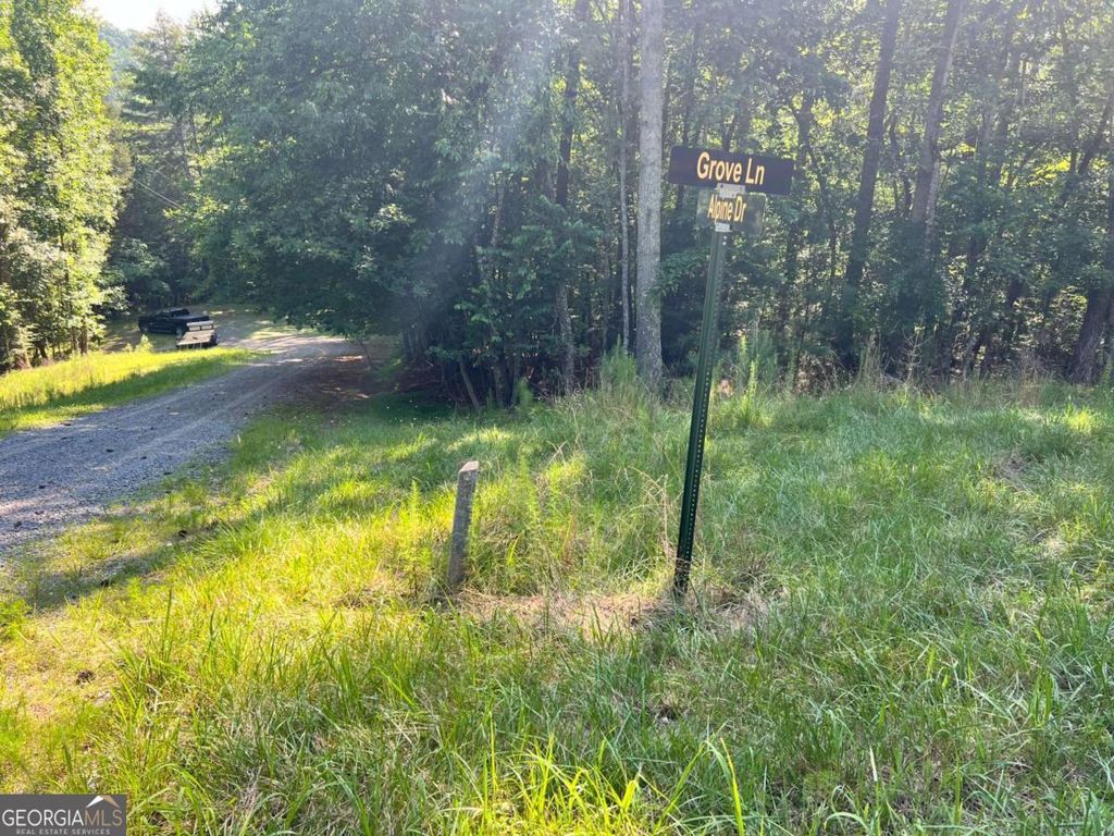 0 Alpine 3625 Drive, Ellijay, GA 30540