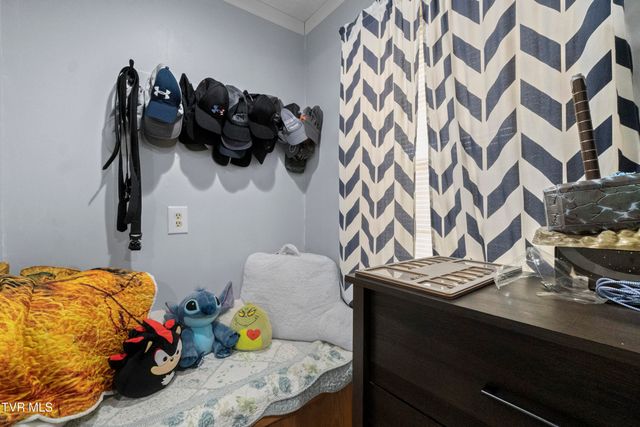 119 Mccartt Loop, Chuckey, TN 37641