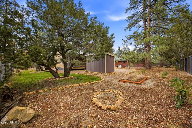 1979 CHRISTMAS PINE Circle, Overgaard, AZ 85933