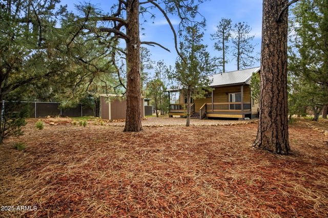 1979 CHRISTMAS PINE Circle, Overgaard, AZ 85933