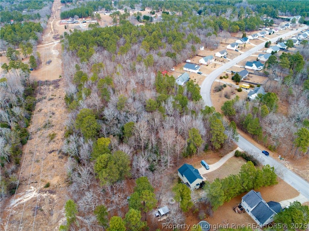 286 Colonial Hills Drive, Lillington, NC 27546 — photo 3