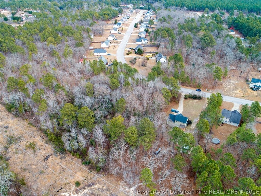 286 Colonial Hills Drive, Lillington, NC 27546 — photo 4