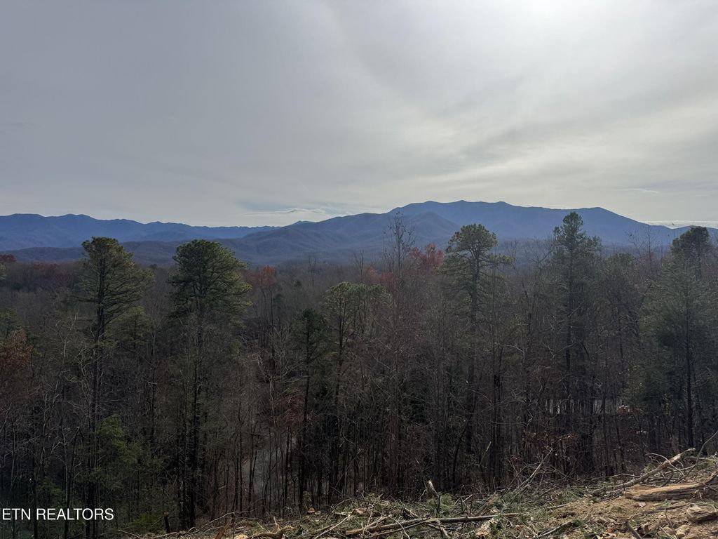 Lot 3 Powdermill Rd, Gatlinburg, TN 37738