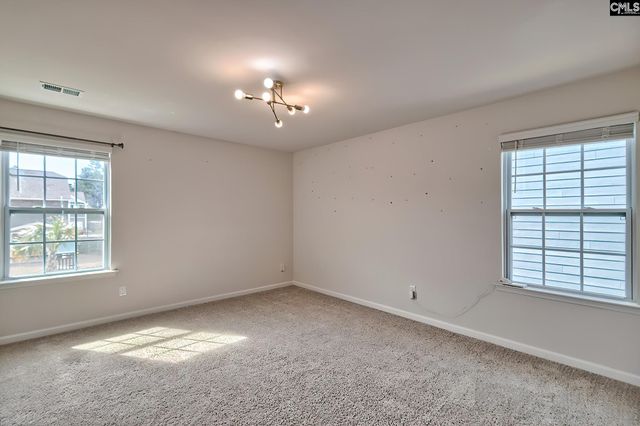 622 Autumn Shiloh Drive, Chapin, SC 29036