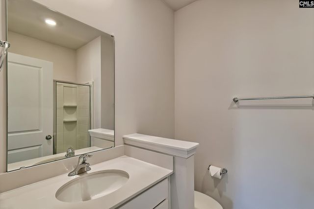 622 Autumn Shiloh Drive, Chapin, SC 29036