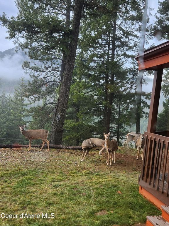 325 Wambli Wahohpi, Careywood, ID 83809 photo 30