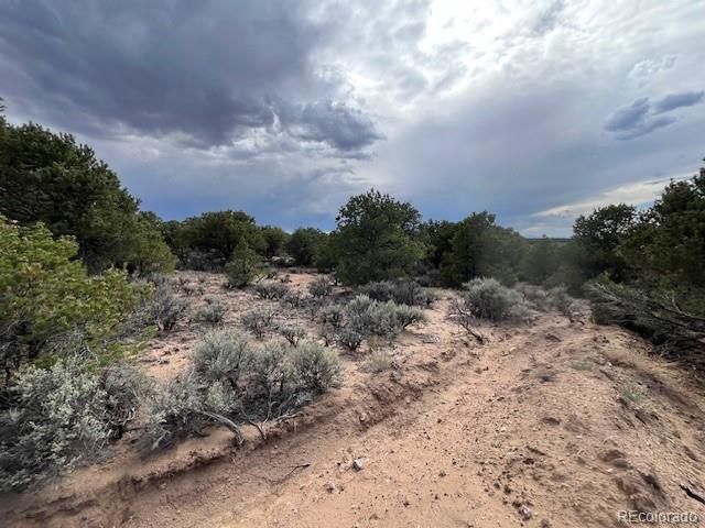 Lot 989 Bateman Road, Fort Garland, CO 81133