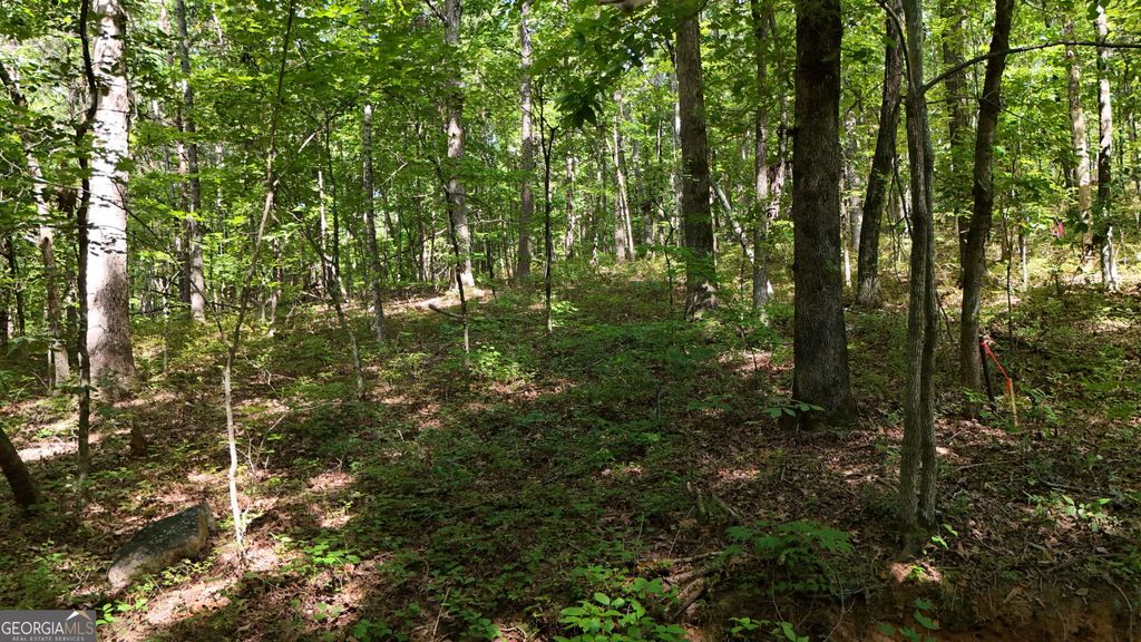 LOT 183 Hillside Drive, Clarkesville, GA 30523 — photo 3