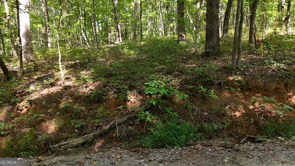 LOT 183 Hillside Drive, Clarkesville, GA 30523 — photo 4