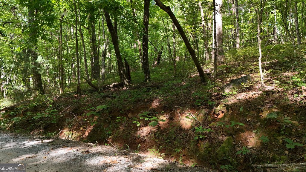 LOT 183 Hillside Drive, Clarkesville, GA 30523 — photo 5