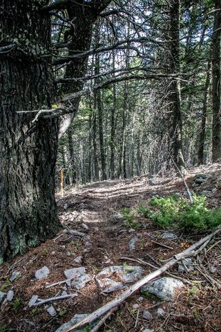 Lot 37 Sun West Ranch, Cameron, MT 59720